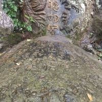 評論圖片 5