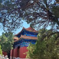 評論圖片 8