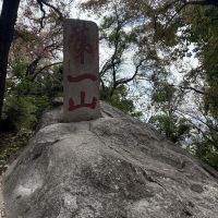 評論圖片 1