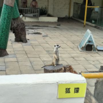 評論圖片 7