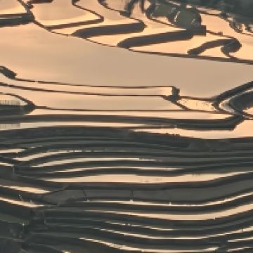 評論圖片 7