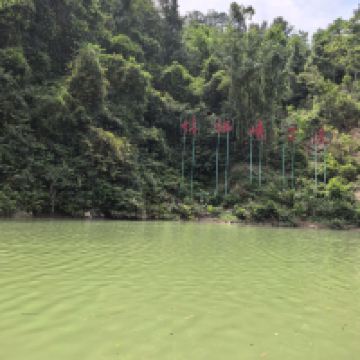 評論圖片 1