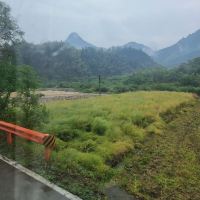評論圖片 1