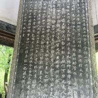 評論圖片 2