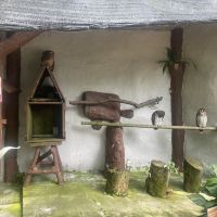 評論圖片 3