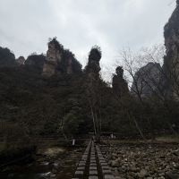 評論圖片 3