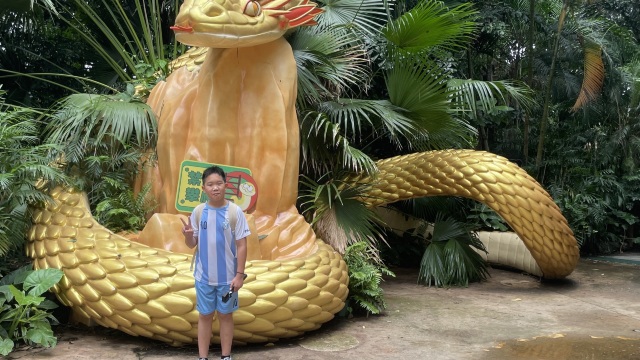 review picture
