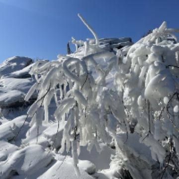 評論圖片 4