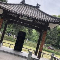 評論圖片 7