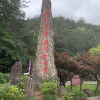 評論圖片 1