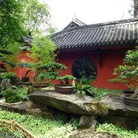 評論圖片 9