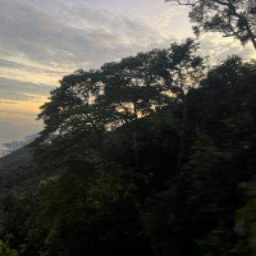 評論圖片 3