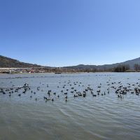 評論圖片 1