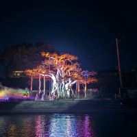 評論圖片 8