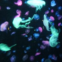 評論圖片 9