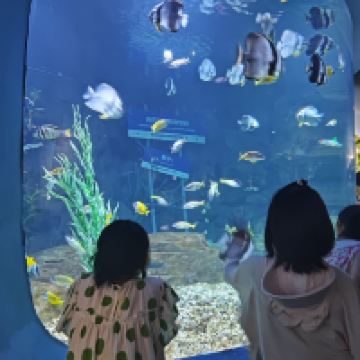 評論圖片 8