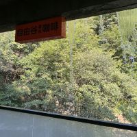 評論圖片 5
