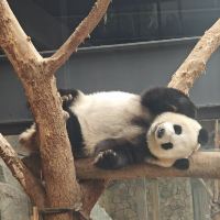 評論圖片 6