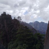 評論圖片 1