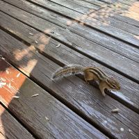 評論圖片 8
