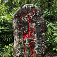 評論圖片 2