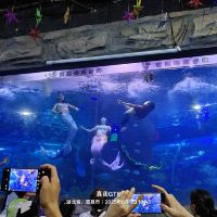 評論圖片 6