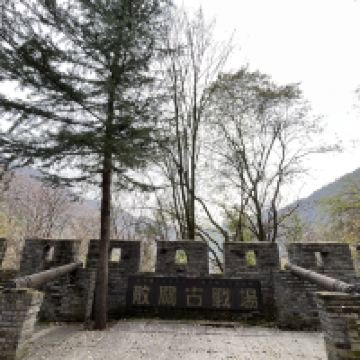 評論圖片 7