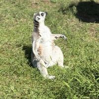 評論圖片 9