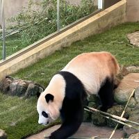 評論圖片 9