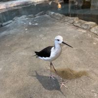 評論圖片 4