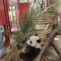 評論圖片 1