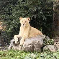 評論圖片 1