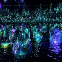 評論圖片 5