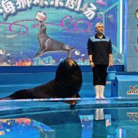 評論圖片 2