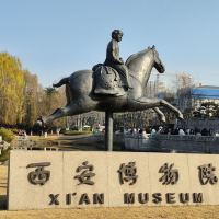 評論圖片 1