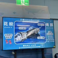 評論圖片 3