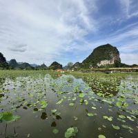 評論圖片 8
