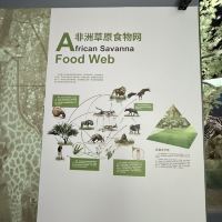 評論圖片 7