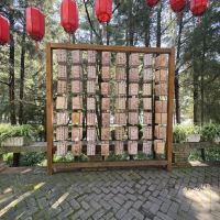 評論圖片 7