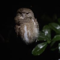 評論圖片 3