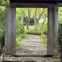 評論圖片 6