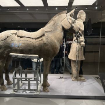 評論圖片 2