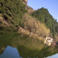 評論圖片 4