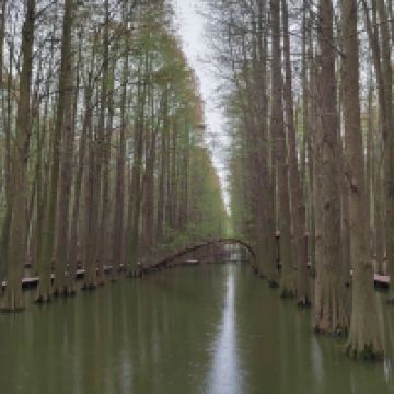 評論圖片 5