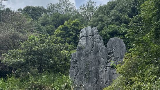 售票处小姐姐特别亲和👍🏻景区不大，可以慢慢游览，要多留心