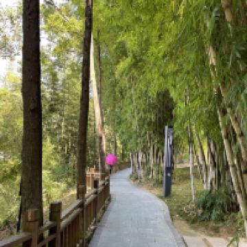 評論圖片 3