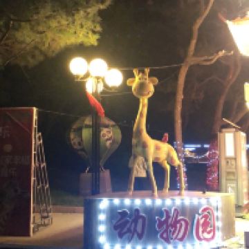 評論圖片 2