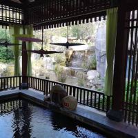 評論圖片 4