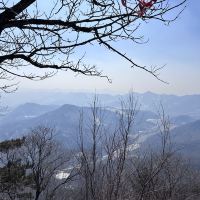 評論圖片 7