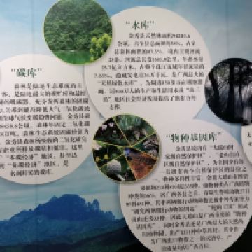 評論圖片 3